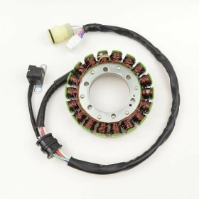 ELECTROSPORT Stator Yamaha YFM 2000-14