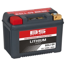 BS BATTERY Battery Lithium-Ion BSLI-09 12.8V 7.5Ah