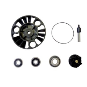 TOP PERFORMANCES Water pump repair kit APRILIA / DERBI / GILERA / PIAGGIO / VESPA 125-300cc 2000-2015