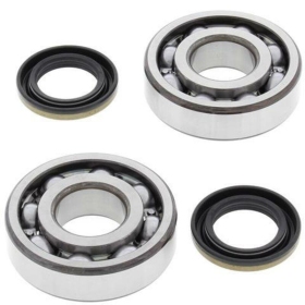 ALL BALLS Crankshaft Bearing & Oil Seal Kit KAWASAKI KDX 200-220 89-06