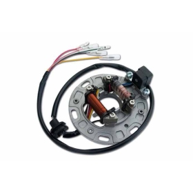 ELECTROSPORT Stator - Kawasaki 2006-19