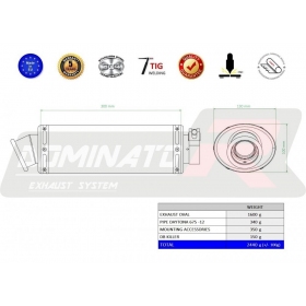 Exhaust silencer Dominator Oval TRIUMPH DAYTONA 675 2012