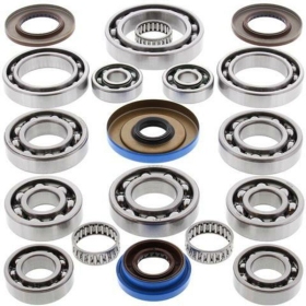 ALL BALLS Rear Differential Bearing & Seal Kit  Polaris ACE /RZR 325-900 11-21