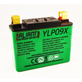 Battery Aliant Ultralight YLP09X 12V 8Ah