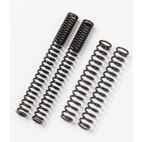 BITUBO FORK SPRING TRIUMPH BONNEVILLE 05-15