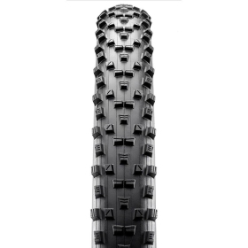 Padanga MAXXIS Forekaster 29X2.60 EXO/TR