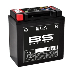 BS BATTERY SLA Battery BB9-B 12V 9.5AH