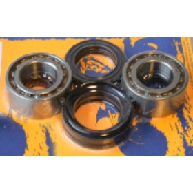 PIVOT WORKS Front Wheel Bearings And Seals Kit Honda TRX 450-680cc 98-17