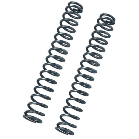 BITUBO MT08 Linear Fork Spring Kit with Oil Triumph Thruxton 1200 16-19