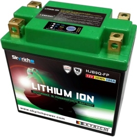 SKYRICH Battery Lithium-Ion - LIB9 12V