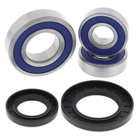 ALL BALLS Rear Wheel Bearing Kit Suzuki DL 650-1000 02-24