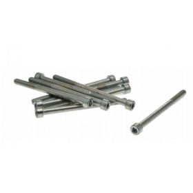 Stainless steel bolts M6 (length 35/80mm) 10pcs