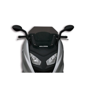 MALOSSI Sport Windscreen ​​​​​​​BMW C 600-650cc 12-21