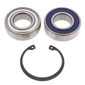 Drive Shaft Bearing and Seal Kit Lower Shaft ALL-BALLS 14-1069 POLARIS RMK 600 2016-2021