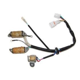 ELECTROSPORT Stator - Yamaha YFM 1992-09