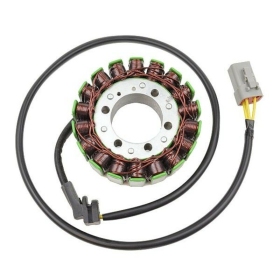 ELECTROSPORT Stator Cam Am 2004-21