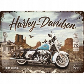 Metalinė lentelė HARLEY-DAVIDSON 30x40