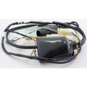 Tec-X Wire harness Suzuki PV50