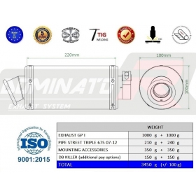 Exhausts silencers Dominator GP1 TRIUMPH Street Triple R 675 2007 - 2012