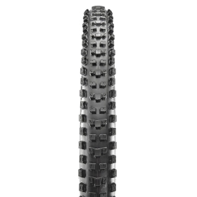 Padanga MAXXIS Dissector 29X2.60 EXO/TR