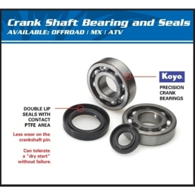 ALL BALLS Crankshaft Bearing & Oil Seal Kit KAWASAKI KDX 200-220 89-06