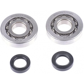 Crankshaft bearing, seals kit TOP PERFORMANCE TRP PIAGGIO / GILERA 50 2T