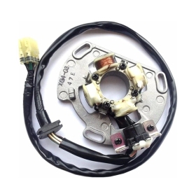 ELECTROSPORT Stator KTM 2003-16