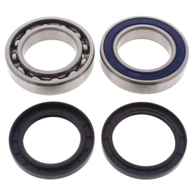 Chain Case Bearing & Seal Kit. ALL-BALLS 14-1065 ARCTIC CAT BEAR CAT / ZR 500-1050 2014-2021