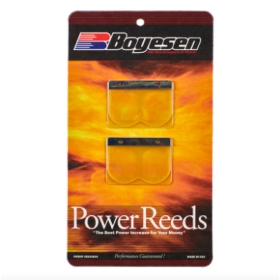 BOYESEN Power Reeds KTM 350GS/ 350-500MX