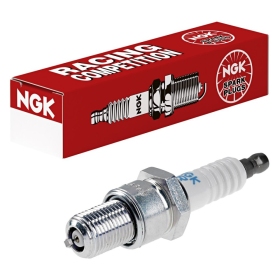 Spark plug NGK R6918B-9