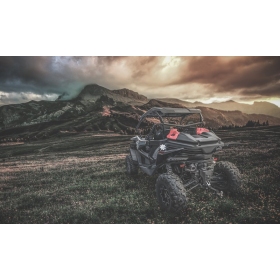 ATV galinė daiktadėžė CFMOTO ZForce 1000