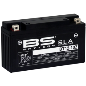 BS BATTERY SLA Battery BT12-10Z 12V 10AH