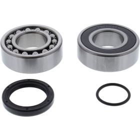 Bearing & seal kit ALL-BALLS 14-1072 ARCTIC CAT ZR 2014-2016