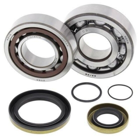 ALL BALLS Crankshaft Bearing & Oil Seal Kit GAS GAS EC 200-300 98-14