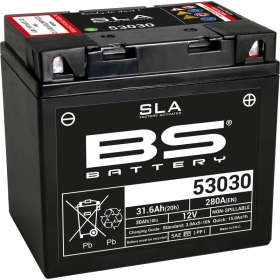 Akumuliatorius BS BATTERY 53030 (FA) SLA 12V / 30Ah