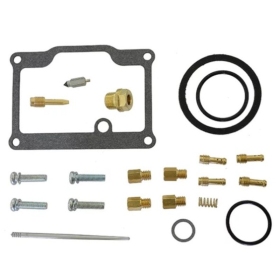 Sno-X Carburetor repair kit Arctic Cat