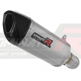 Exhaust silincer Dominator HP6 BMW M1000RR 2021-2022