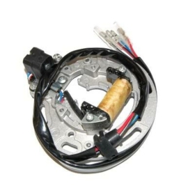 ELECTROSPORT Stator Kawasaki KX 1990-13