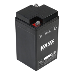 BS BATTERY SLA Battery B49-6 6V 10AH