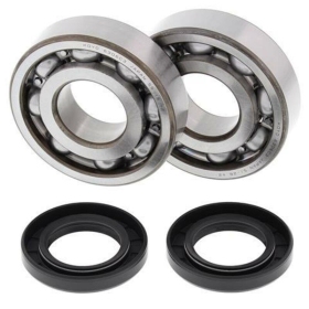 ALL BALLS Crankshaft Bearing & Oil Seal Kit KAWASAKI KX 500 83-03