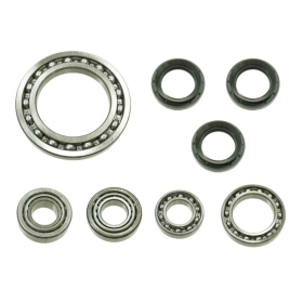 Bronco Differential Bearing & Seal Kit Arctic Cat 250-500 1998-2002