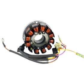 Kimpex Stator Arctic Cat KING CAT / MOUNTAIN CAT / ZR 440-900cc 1999-2005