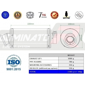 Duslintuvo kompl. Dominator GP1 BMW R1100RS 1992-2001