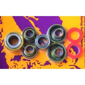 PIVOT WORKS SHOCK ABSORBER BEARING KIT KTM EXC / SXS / SX 125-520cc 99-01