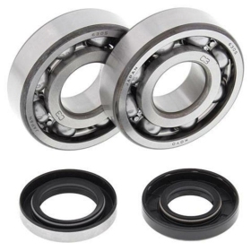 ALL BALLS Crankshaft Bearing & Oil Seal Kit HUSQVARNA WR/CR 250-360 92-02