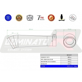 Duslintuvo kompl. Dominator GP2 KAWASAKI ZX6R 636 2003-2004