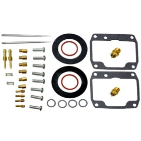 Sno-X Carburetor repair kit Ski-Doo