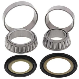 ALL BALLS Steering Shaft Bearing Kit Honda FJS 600 02-13/FORZA 300 14-16/GL 1800 01-20/VT 1300 10-18/TRIUMPH ROCKET III 04-09