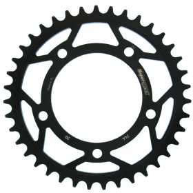 Supersprox / JT Rear sprocket 744.36 36t