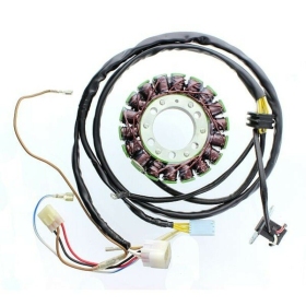 ELECTROSPORT Stator Polaris Sportsman 400 / 450 / 500 2000-14